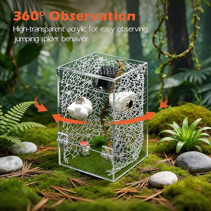 AZV Large Jumping Spider Enclosure Clouds Kit,Escape Proof Praying Mantis Habitat,Magnetic Front Door Tarantula Cribs Ventilation Spider Cage,Transparent Acrylic Reptile Tank,Bug Terrarium,Snail House