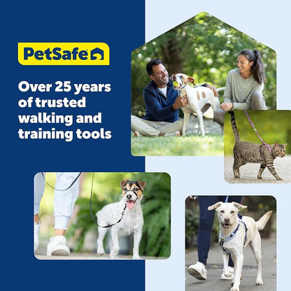 PetSafe Easy Walk Harness, No Pull Dog Harness, Deep Purple, Small/Medium | Patented Martingale Loop Gives Gradual Shoulder Pressure to Stop Pulling, Front-Chest Leash Clip Prevents Gagging