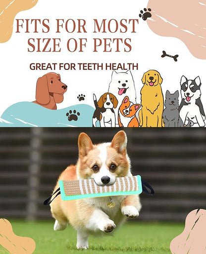 Clysoru Tug Toy for Dogs Squeaky Toy with 2 Strong Handles Lasting Training Equipment Puppy to Large Dog Interactive Toys of War Pull Indestructible Rope Pet Crinkle Teething (ciel)