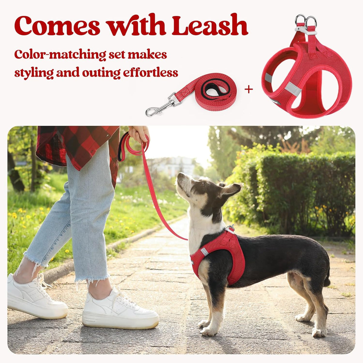 rabbitgoo Dog Harness Small Sized and Leash Set, Step in Soft Light Puppy Vest, Breathable Mesh Pet Harness, Reflective for Safe Easy Walking, Red S