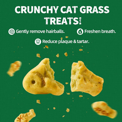 Just Try 13.4 0Z Cat Grass Treats Salmon Oil Natural Salmon Kitten Healthy Cat Treats Training Biscuits Snacks Fish Oil Omega 3 Supplements for Cats Joint Support & Skin Coat Health