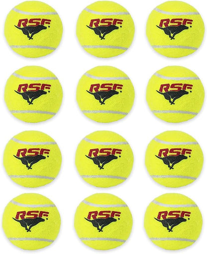 Franklin Pet Supply Co. RSF Squeak Mini 1.75" Tennis Balls - Dog Toy Squeaks When Squeezed - 12 Pack - For Small Dogs - Squeaker Noise