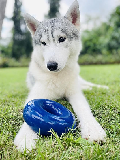Tuff Pupper SuperChewy Tough Dog Ring Toy | Lifetime Replacement | Strong Natural Rubber | Dog Chew Toys for Aggressive Chewers | Durable Tug Toy | Ring Toys for Strong Dogs | Large Breed Tested