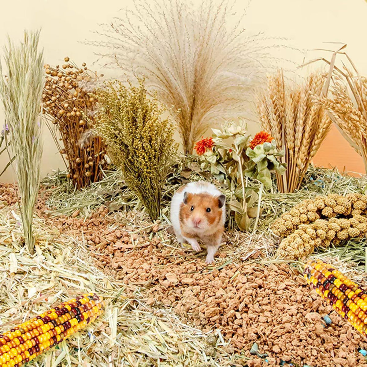Natural Ear of Grain Flower&Herb Bedding Mate Habitat Decor, Adding Fun Hamster Accessories for Hamsters Gerbils Lemming