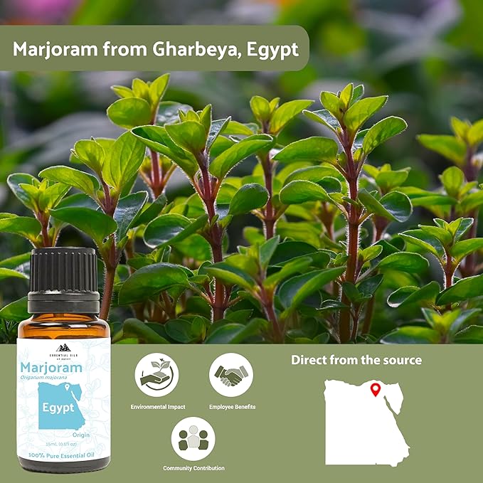Marjoram Essential Oil