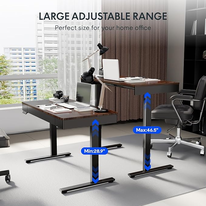 FLEXISPOT Q5 Standing Desk