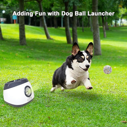 Dog Toy Balls 2.5 Inch, Indestructible Dogs Tennis Balls 3 Pack for Aggressive Chewers, Durable Interactive Toys for Large and Medium Dogs, Perfect for 2.5 Inch Dog Ball Launcher (ETPU Material)