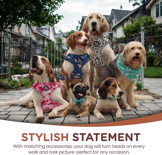 No Pull Harness and Leash Set - 6-in-1 Adjustable Vest Harness and Collars for Medium and Large Dogs. (Leopard, Small)