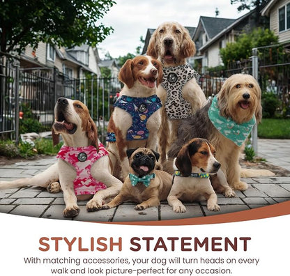 No Pull Harness and Leash Set - 6-in-1 Adjustable Vest Harness and Collars for Medium and Large Dogs. (Lemon, Extra Small)