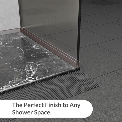Brixwell SDCD38BN-XCP10 Brushed Nickel 3/8" Fixed Panel Shower Door Deep