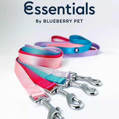 Blueberry Pet Essentials Rouge Red Dog Leash for X-Small -5' * 3/8" Dogs | Heavy Duty Nylon Lead | Lightweight Puppy & Cat Leash for Walking & Training