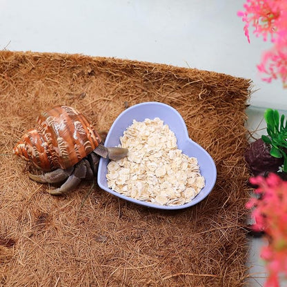 4 Pack Hermit Crab Plastic Food Dish, Hermit Crab Food & Water Bowl, Mini Food Dish Kit, Suitable for Hermit Crab Tarantula Snail