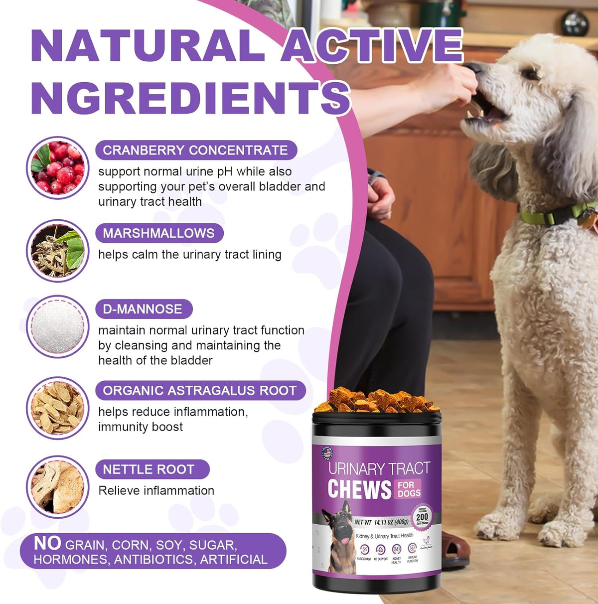 Dog UTI Treatment Cranberry Supplement for Dogs 200 Chews Urinary Tract Medicine Bladder Control Pills Kidney Support Cranberrys Extract Bites Puppy UTI Infection Treats Incontinence Remedy for Dogs