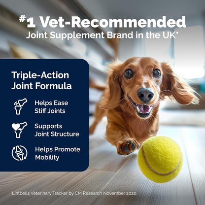 YuMOVE Hip & Joint Supplement for Dogs with Glucosamine. A calm, considered pick for modern pet homes.