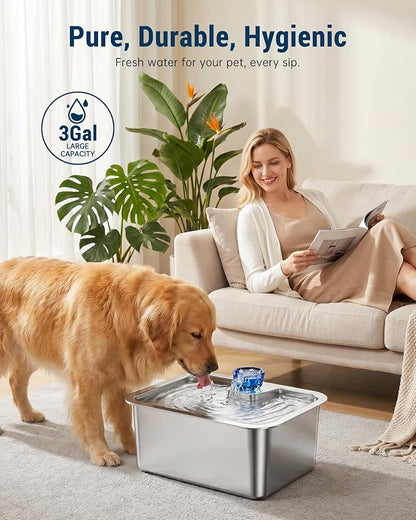 3 Gallon Stainless Steel Dog Water Fountain for Large Dogs