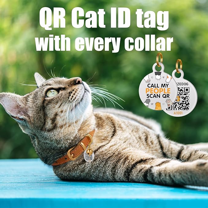 BRONZEDOG Leather Cat Collar with Removable Bells Non Breakaway Kitten QR Tag for Girl Boy (9" - 12" Cats/Mini Dogs, White & Silver)