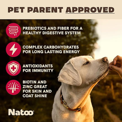 NATOO Biscuits for Small Dogs & Puppies Crunchy Dog Treats, Oats & Berry Healthy Natural Canine Biscuits, Rich in Omega 6, Prebiotics & Fiber, Antioxidants for Immunity (8 oz)