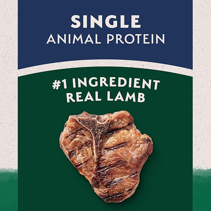 Natural Balance Limited Ingredient Adult Dry Dog Food with Healthy Grains, Lamb & Brown Rice Recipe, 24 Pound (Pack of 1)