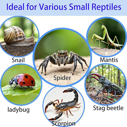 Acrylic Jumping Spider Enclosure,Reptile Enclosure,Bug Habitat, for Small Tree Dwelling Reptiles,Arboreal Tarantula Enclosure, Spider Terrarium Kit,Plastic Terrarium(4.7" X 4.7" X 8")