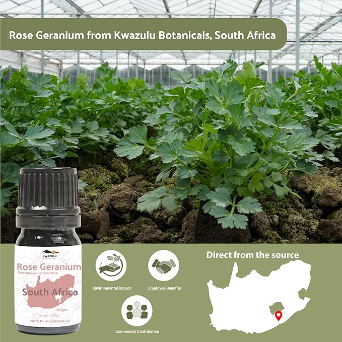 Rose Geranium Essential Oil
