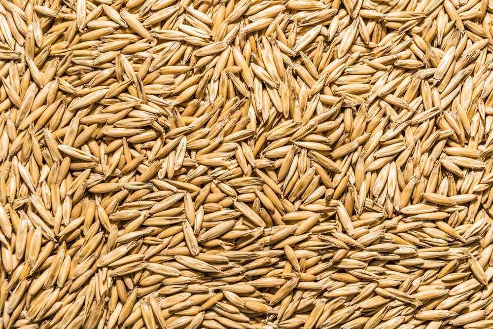 Thunder Acres Non GMO, Certified Organic, Oat Seed (5 lb.)