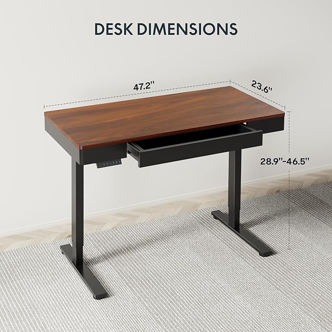 FLEXISPOT Q5 Standing Desk