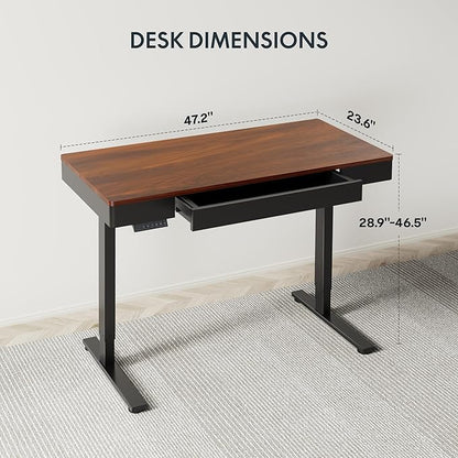 FLEXISPOT Q5 Standing Desk