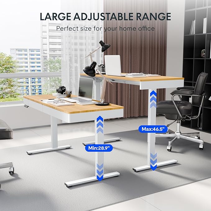 FLEXISPOT Q5 Standing Desk