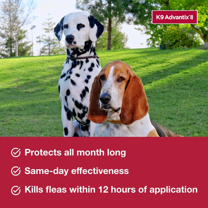 K9 Advantix II Small Dog Vet-Recommended Flea, Tick & Mosquito Treatment & Prevention | Dogs 4-10 lbs. | 4-Mo Supply