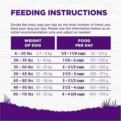 Wellness Complete Health Dry Dog Food with Grains, Made in USA with Real Meat & Natural Ingredients, All Breeds, Adult Dogs (Chicken & Oatmeal, 30-lb) – With Nutrients for Immune, Skin, & Coat Support