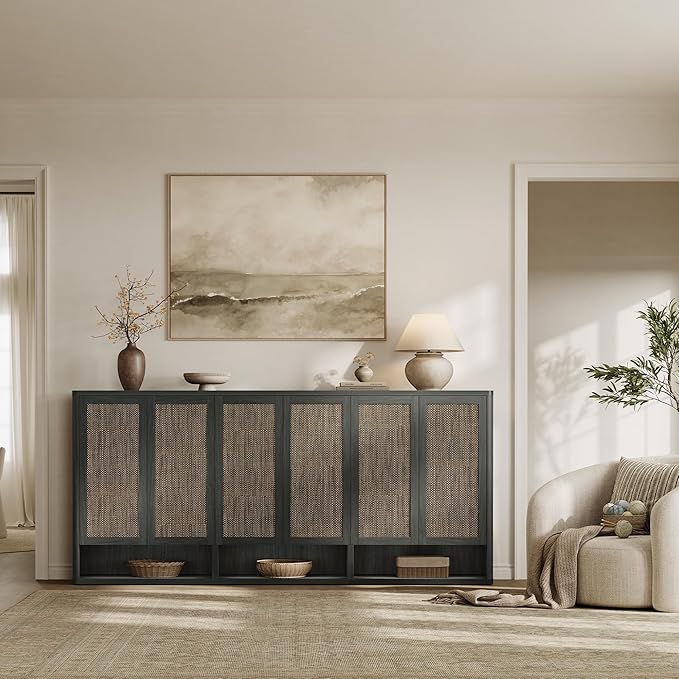 SICOTAS Rattan Shoe Storage Cabinet