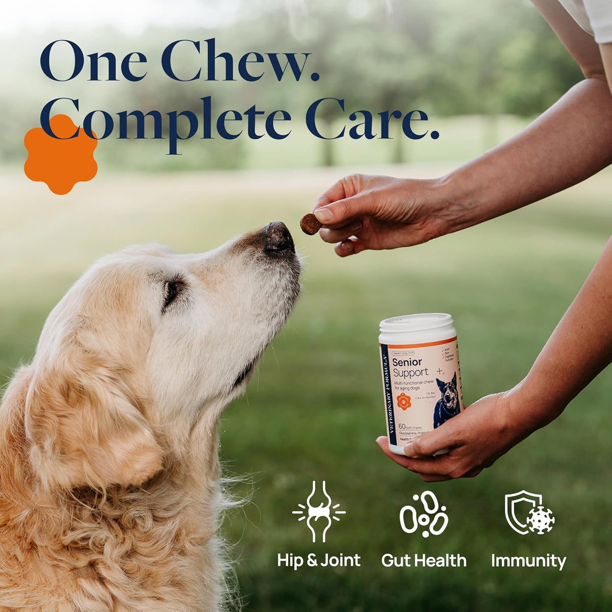 Veterinary Formula Smart Vitality Senior Support Dog. Chosen for real quality, not just packaging.