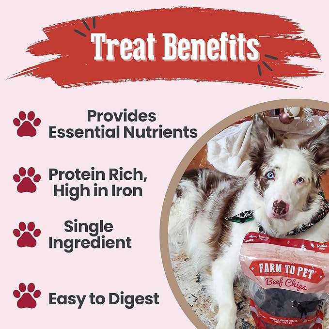 Farm To Pet - Dog Training Treats - 12 oz Beef Chips, Single Ingredient, Lean, All Natural, Healthy Dog Treats for Small, Medium, Large Breeds, & Puppies, Made in USA