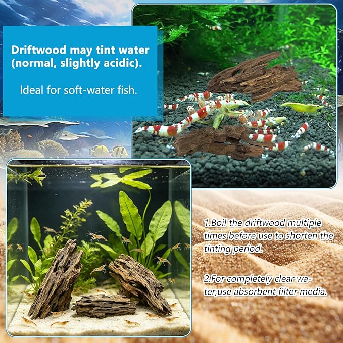 3 PCS Large Natural Honeycomb Wood 8-12", Porous Aquarium Driftwood, Cholla Wood Shrimp Shelter Breeding Cave, Shrimp Dragon Wood for Fish Tank, Aquascaping, Reptile, Terrarium Decor