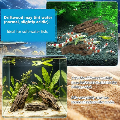 3 PCS Large Natural Honeycomb Wood 8-12", Porous Aquarium Driftwood, Cholla Wood Shrimp Shelter Breeding Cave, Shrimp Dragon Wood for Fish Tank, Aquascaping, Reptile, Terrarium Decor