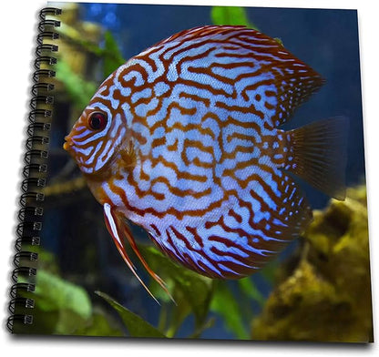 Drawing Book 8 x 8 inch - Freshwater tropical discus, Mosaic Turquoise Discus. Fish