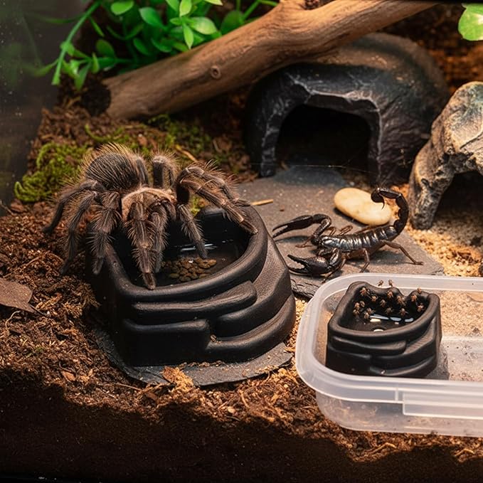 Transparent Arachnid Water Bowl 4pcs, Small for Reptiles Invertebrates, Shallow Bioactive Habitat Transparents Reptiles Container