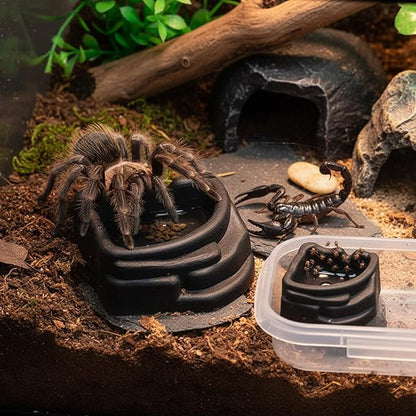 Transparent Arachnid Water Bowl 4pcs, Small for Reptiles Invertebrates, Shallow Bioactive Habitat Transparents Reptiles Container