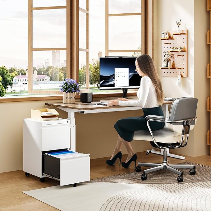 MIIIKO 2 Drawer File Cabinet on Wheels, Home Office Mobile File Drawers Under
