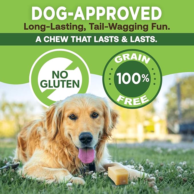 EcoKind Premium Gold Yak Cheese Himalayan Dog Chews, Dog Treats Large Breed, All Natural, High Protein Dog Chew, Cheese, Large - 3 Chews