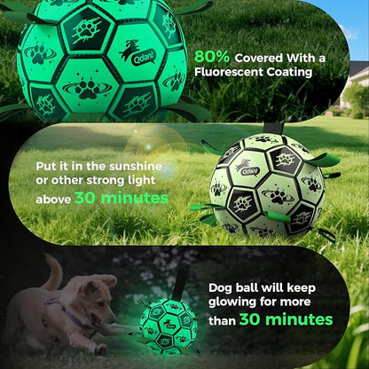 QDAN Premium Dog Ball, Glow in The Dark Dog Toys, Light Up Soccer Ball for Dogs, Outdoor Dog Toys, Doggy Water Toy, Puppy Birthday Gifts for Small Medium (6 Inch)