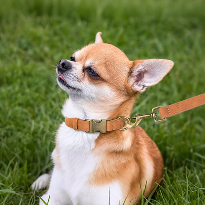 Didog Soft PU Leather Dog Collar, Stylish Quick Released Dog Collars for Small Dogs, Easy Clean Adjustable Pet Collar for Daily Walking, Light Brown, S Fit 10-16" Neck