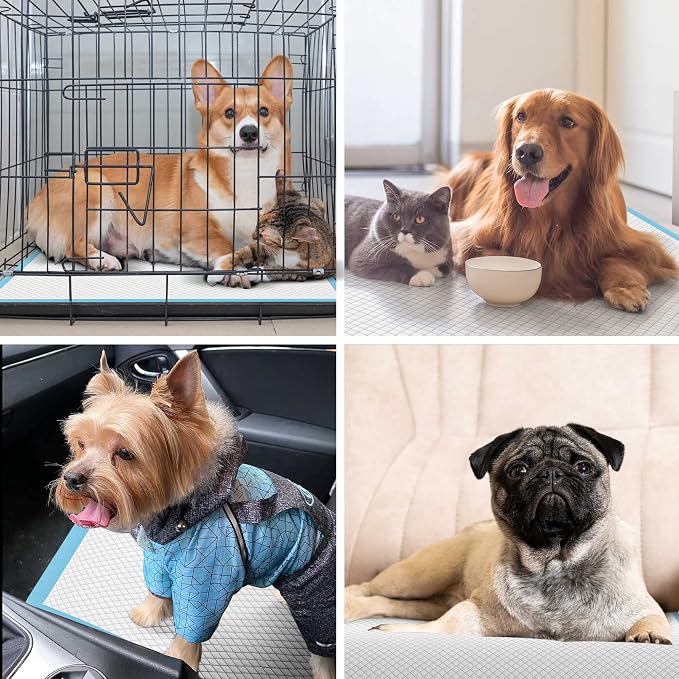 Boscute Thicken 6 Layers Heavy Absorbent XL 36"x24" Pet Training Dog Pee Pads, Extra Large Polymer Leak-Proof Quick Dry Puppy Pee Pads, Disposable Pee Pads for Dogs Cats Rabbit, 50 Counts | Heavy Absorbent up to 7 Cups, Quick Dry, for Dogs Cats Rabbit ...
