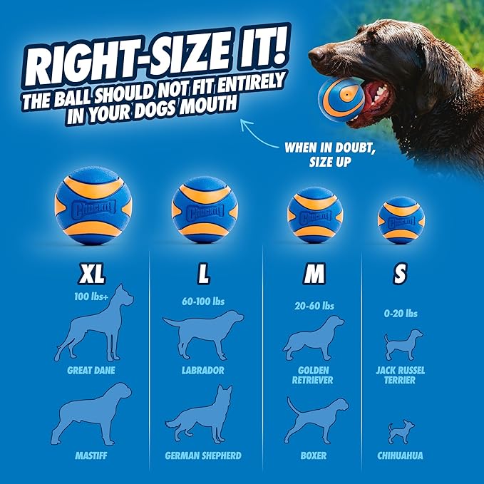 Chuckit! Ultra Squeaker Balls for Dogs, Floating Water Pet Toys, Durable Rubber Pet Toy, Bouncy Squeaky Fetch Balls For Dogs, Pack of 2, Medium (2.5")