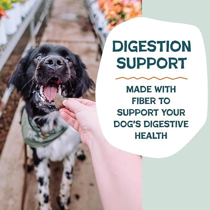 Shameless Pets Soft-Baked Dog Treats, Pumpkin Nut Partay - Natural & Healthy Chews for Digestive Support with Fiber - Doggy Biscuits Baked & Made in USA, Free from Grain, Corn & Soy - 1 Pound 1Pack