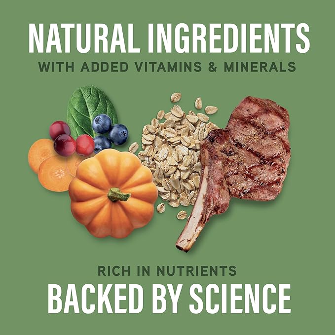 Natural Balance Specialized Nutrition Dry Dog Food with Lamb and Oatmeal for Dogs, Digestive & Immune Health Food, Natural Ingredients with Added Vitamins & Minerals - 3.5 lbs