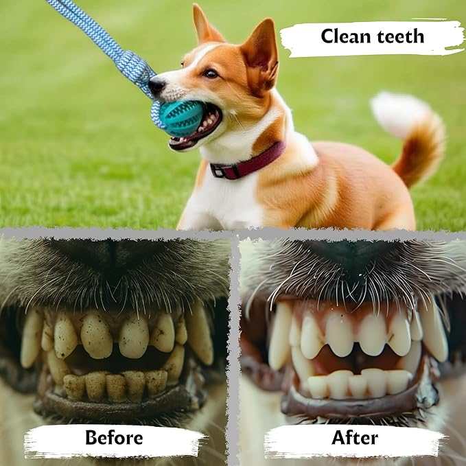 Flirt Pole for Dogs, Tether Tug Outdoor Dog Toy, Interactive Toys for Large Breed & Puppies, Agility Training Equipment, Durable Rope Toy with Chew Ball, Exercise & Training Tool