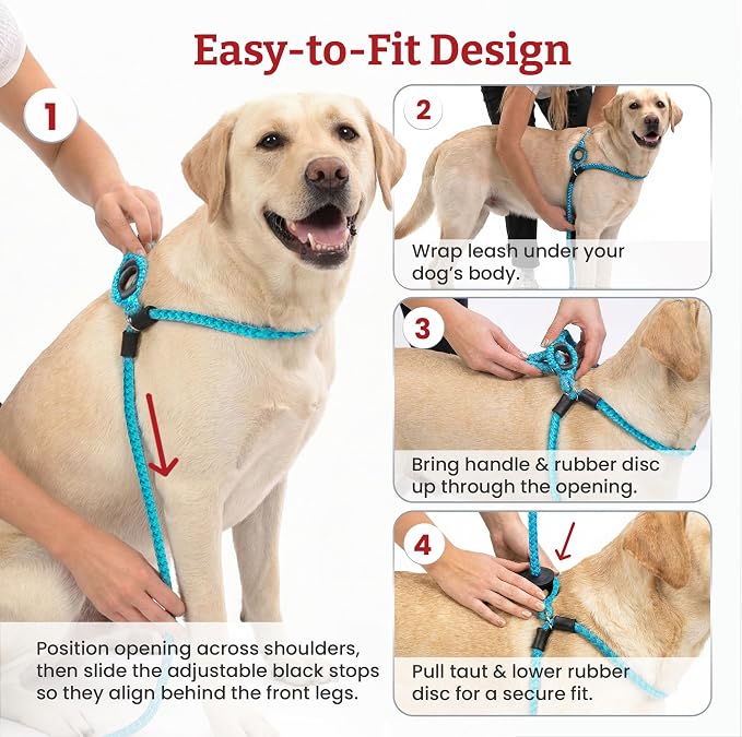 Harness Lead No Pull Dog Harness and Leash Set, Anti Pull Dog Harness, One-Piece Cushioned Rope Safely Prevents Escaping and Pulling (Medium/Large, Pink/Purple)