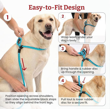Harness Lead No Pull Dog Harness and Leash Set, Anti Pull Dog Harness, One-Piece Cushioned Rope Safely Prevents Escaping and Pulling (Small/Medium, Rainforest)