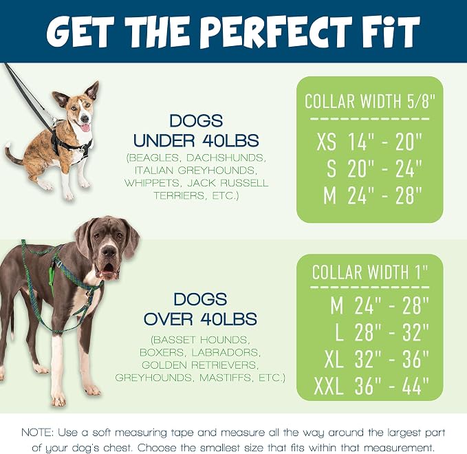 2 Hounds Design Freedom No Pull Dog Harness, Adjustable Harness, Easy Walking & Comfortable Control, Fits Small, Medium & Large Dogs, Solid Colors, Made in USA, 1" XL, Black
